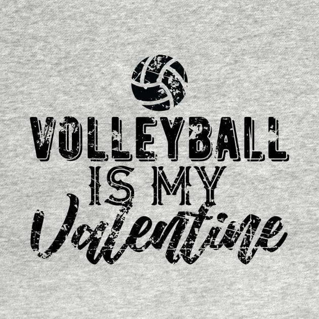 Volleyball is My Valentine Gift by DimDom